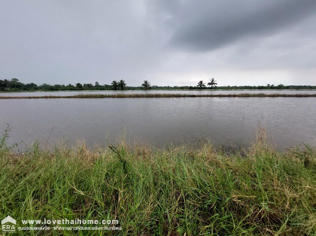 ขายที่ดิน องครักษ์ นครนายก ราคาไม่เกิน3แสนบาท ถูกมากๆ พื้นที่ 50 ตรว. เหมาะสำหรับบ้านสวน มี 2 แปลงติดกัน ขายตารางวาละ 5,000 บาท ใกล้บ้านสวนพนมไพรนครนายก