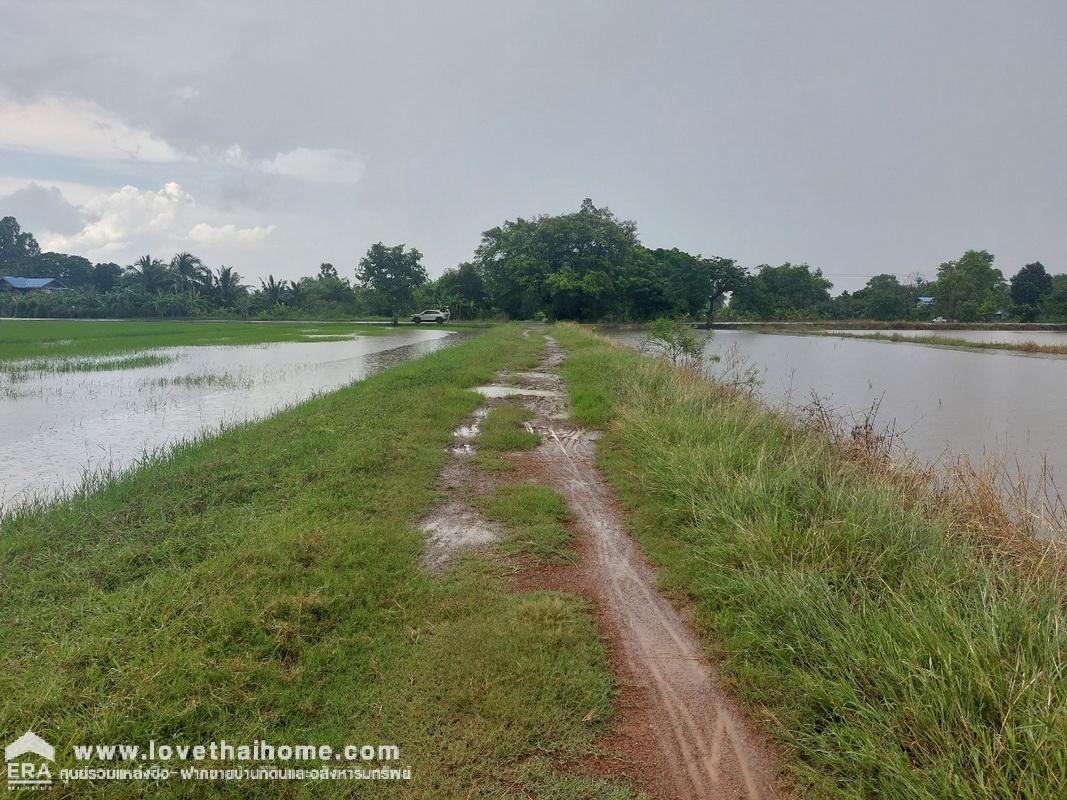 ขายที่ดิน บึงพระอาจารย์ องครักษ์ นครนายก พื้นที่ 50 ตรว. ราคาถูกมาก เพียงตารางวาละ 5,000 บาท เหมาะสำหรับบ้านสวน มี 2 แปลงติดกัน ใกล้บ้านสวนพนมไพรนครนายก