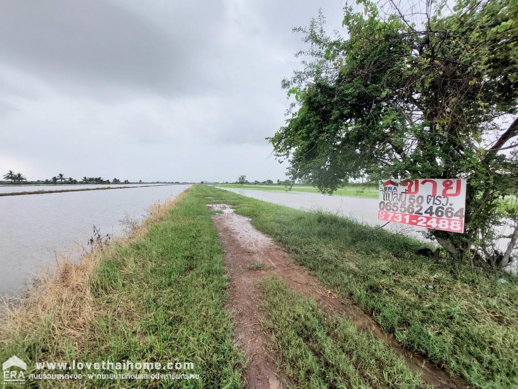 ขายที่ดิน บึงพระอาจารย์ องครักษ์ นครนายก พื้นที่ 50 ตรว. ราคาถูกมาก เพียงตารางวาละ 5,000 บาท เหมาะสำหรับบ้านสวน มี 2 แปลงติดกัน ใกล้บ้านสวนพนมไพรนครนายก