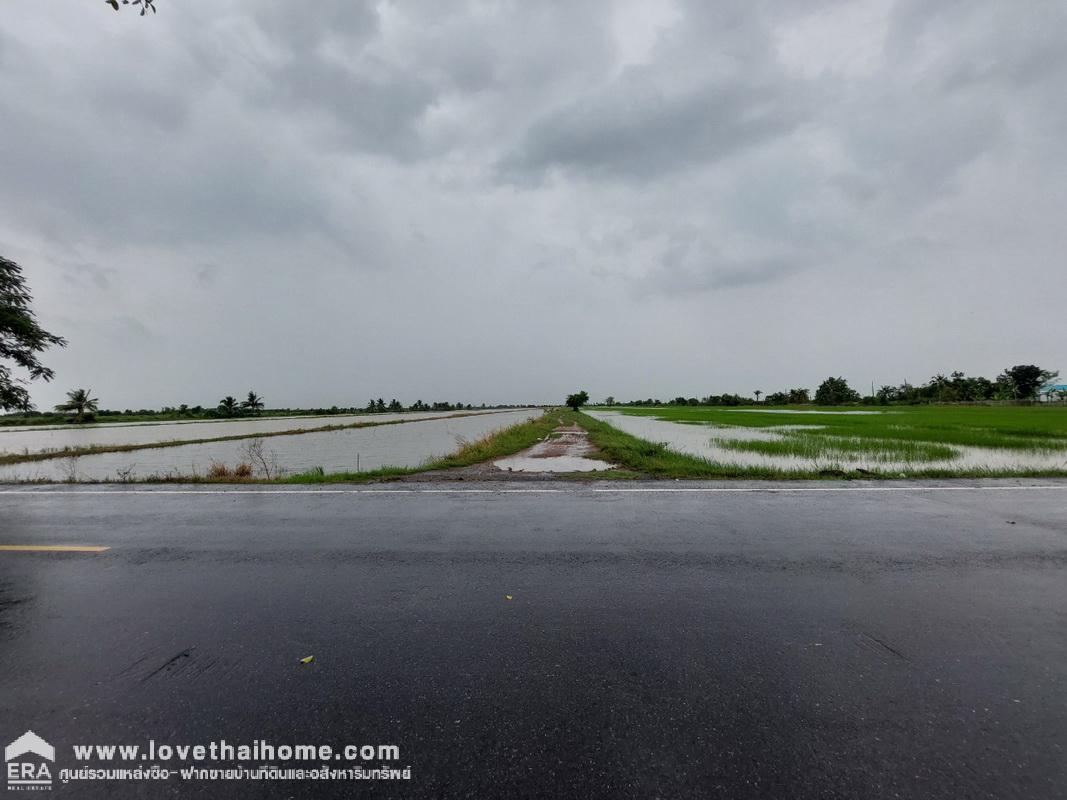 ขายที่ดิน บึงพระอาจารย์ องครักษ์ นครนายก พื้นที่ 50 ตรว. ราคาถูกมาก เพียงตารางวาละ 5,000 บาท เหมาะสำหรับบ้านสวน มี 2 แปลงติดกัน ใกล้บ้านสวนพนมไพรนครนายก