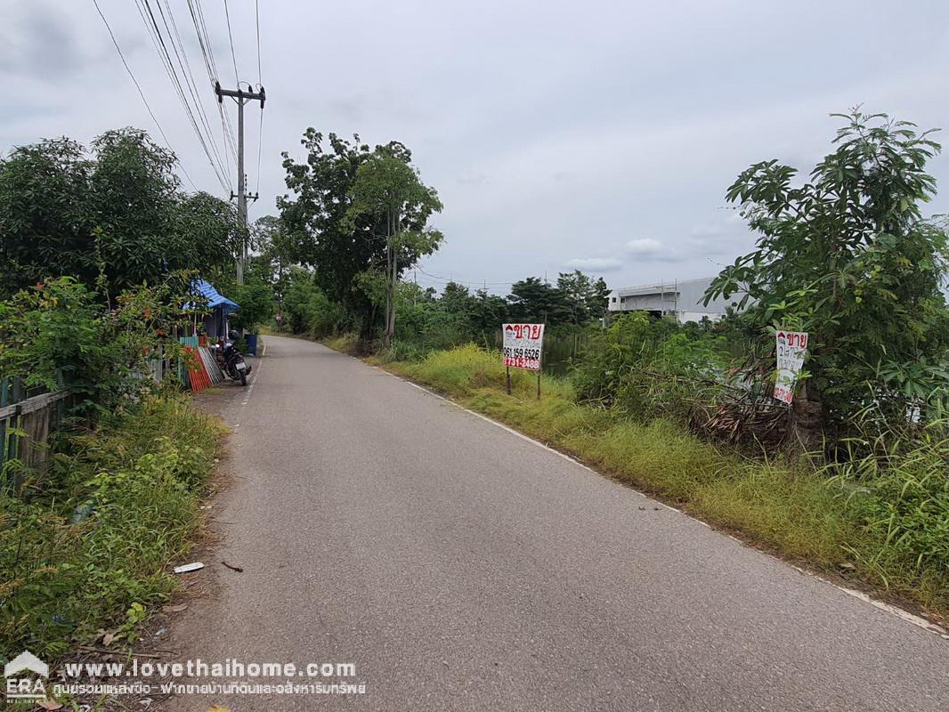 ขายที่ดินบ้านแพ้ว สมุทรสาคร ต.หลักสาม พื้นที่ 2-0-78 ไร่ เส้นทางจากถนนบ้านแพ้ว-นครปฐม เข้าซอยคลองบันไดเหล็ก เพียง 160 เมตร