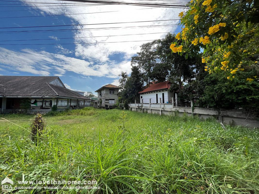 ขายที่ดิน บางปะอิน อยุธยา ใกล้รพ.บางปะอิน ถนนบางปะอิน-บางไทร พื้นที่ 376 ตรว. แถมร้านอาหาร พร้อมบ้านพัก ติดถนนใหญ่ ทำเลดีมาก เหมาะทำร้านอาหารกิจการต่างๆได้เลย