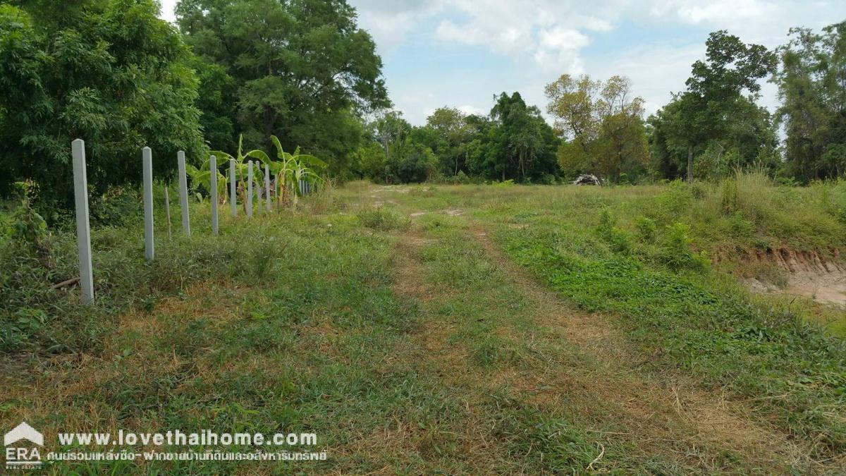 ขายที่ดิน อ.เมืองสุพรรณบุรี ใกล้โรงเรียนวัดสระประทุม พื้นที่ 4 ไร่ ขาย 2 ล้านบาท ถมแล้ว ถ้าชอบต่อรองได้