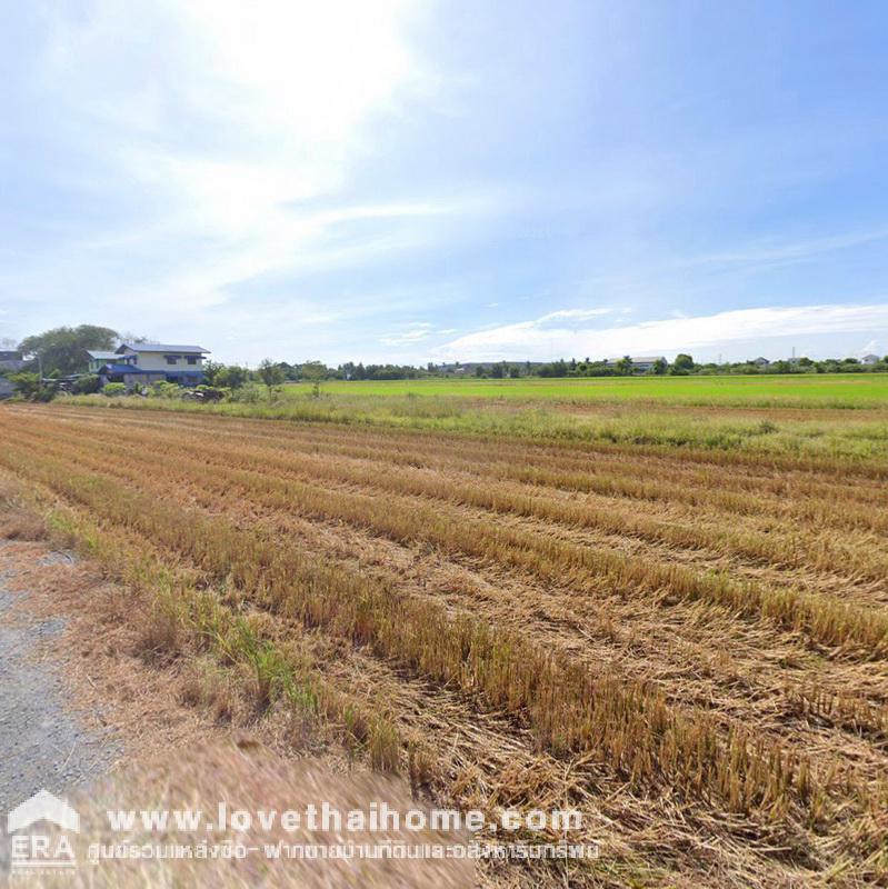 ขายที่ดิน ถนนบ้านกล้วย-ไทรน้อย ซอยถนนเทศบาล 15 พื้นที่ 197 ตรว. ขายถูกมาก ราคานี้หาไม่ได้อีกแล้ว รูปแปลงสวย ทำเลดี เหมาะสำหรับลงทุน และสร้างบ้านพักอาศัย,บริษัท,โกดัง