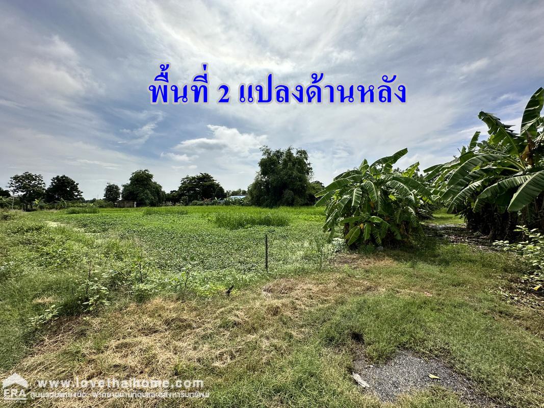 ขายที่ดิน ซ.เพิ่มสิน 36 ซอยแม้นเหมือน พื้นที่ 480 ตรว. ขายยกแปลง ผังเมืองสีเหลือง ใกล้โรงเรียนไทยรัฐวิทยา