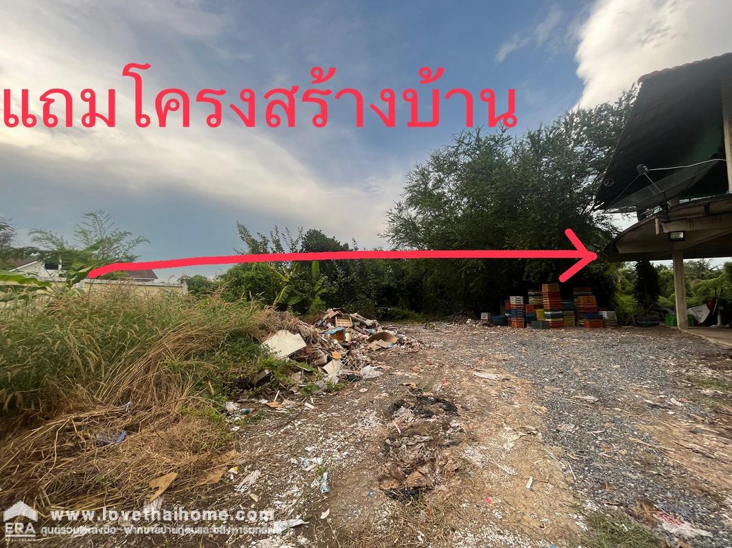 ขายที่ดิน ถนนรังสิต-นครนายก เลียบคลอง10 ซอยสุขฤทัย พื้นที่ 5 ไร่ "แถมฟรีโครงสร้างบ้าน 1 หลัง" เป็นบ้านสวน เน้นธรรมชาติ มีผลไม้หลายชนิด พร้อมเก็บเกี่ยวค่ะ