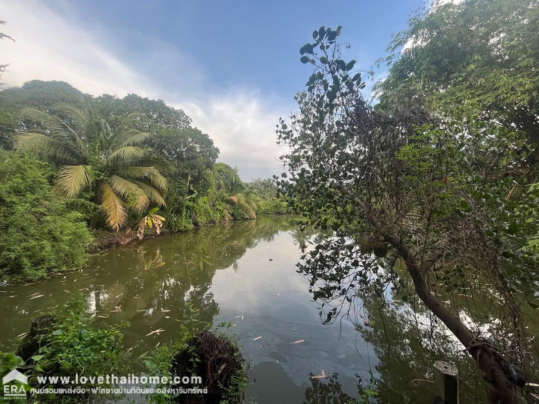 ขายที่ดิน ถนนรังสิต-นครนายก เลียบคลอง10 ซอยสุขฤทัย พื้นที่ 5 ไร่ "แถมฟรีโครงสร้างบ้าน 1 หลัง" เป็นบ้านสวน เน้นธรรมชาติ มีผลไม้หลายชนิด พร้อมเก็บเกี่ยวค่ะ