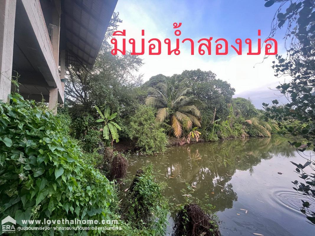 ขายที่ดิน ถนนรังสิต-นครนายก เลียบคลอง10 ซอยสุขฤทัย พื้นที่ 5 ไร่ "แถมฟรีโครงสร้างบ้าน 1 หลัง" เป็นบ้านสวน เน้นธรรมชาติ มีผลไม้หลายชนิด พร้อมเก็บเกี่ยวค่ะ