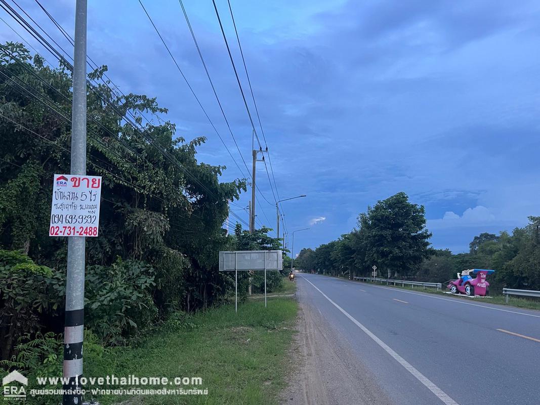 ขายที่ดิน ถนนรังสิต-นครนายก เลียบคลอง10 ซอยสุขฤทัย พื้นที่ 5 ไร่ "แถมฟรีโครงสร้างบ้าน 1 หลัง" เป็นบ้านสวน เน้นธรรมชาติ มีผลไม้หลายชนิด พร้อมเก็บเกี่ยวค่ะ