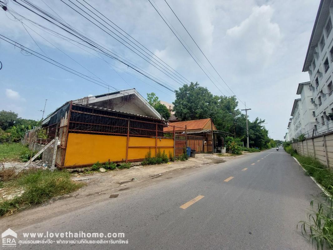 ขายที่ดินพร้อมห้องเช่า ซ.เทพกุญชร34 ถ.พหลโยธิน คลองหลวง คลอง1 พื้นที่ 200 ตรว. หน้ากว้าง 22 x 37 เมตร ใกล้ตลาดไท และ ม.ธรรมศาสตร์รังสิต