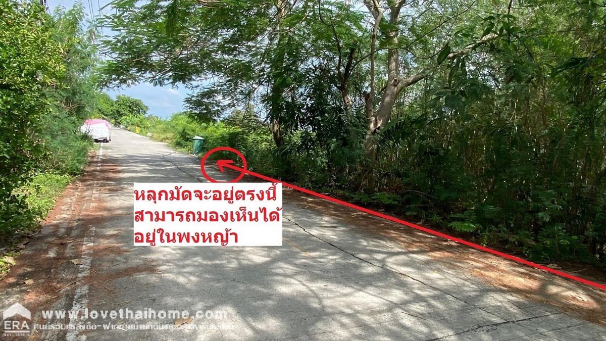 ขายที่ดิน ถนนรังสิต-นครนายก ซอยคุณสัมฤทธิ์ คลอง8 พื้นที่ 1 ไร่ ใกล้โลตัส คลอง7 ราคาถูก เหมาะลงทุน