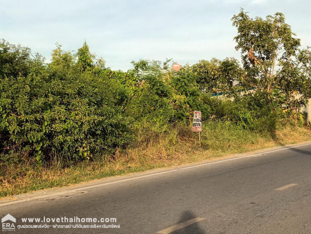 ขายที่ดินติดถนนวัดศรีวารีน้อย บางเสาธง สมุทรปราการ พื้นที่ 2 ไร่ ใกล้ทางด่วนบูรพาวิถี และสนามบินสุวรรณภูมิ ทำเลดี พื้นที่สีเขียว เดินทางสะดวกสบาย