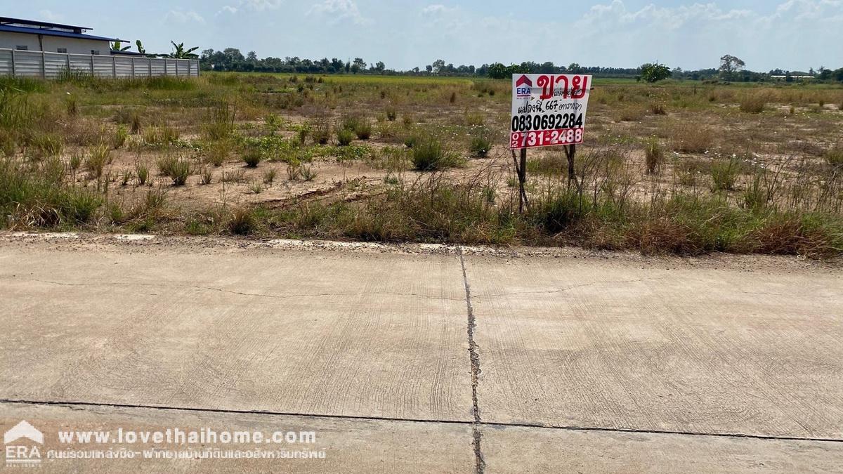 ขายที่ดิน ซ.พันธ์ศรีเพ็ชร ถ.ธัญบุรี คลอง 7 ลัดไปออก ปท.3008 ได้ พื้นที่ 667 ตรว. เป็นถนนซีเมน รถพ่วงเข้า-ออกได้ ประปา+ไฟฟ้าเข้าถึง ถมดินแล้ว