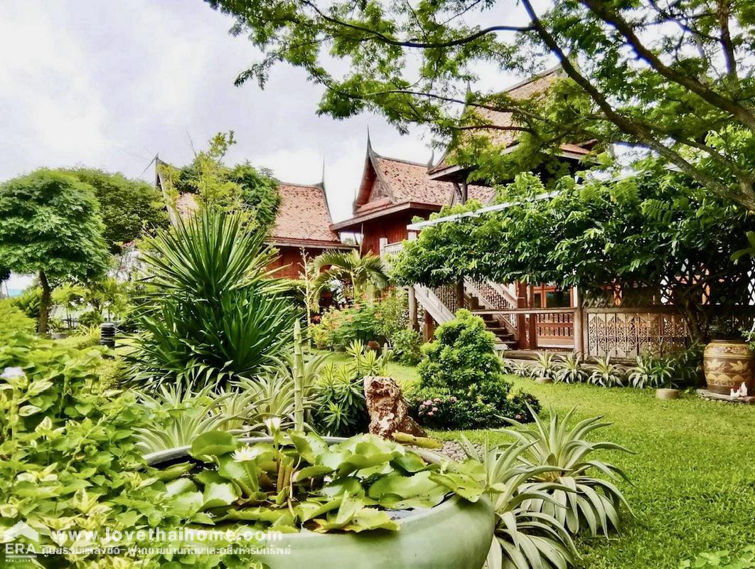 ขายที่ดินพร้อมบ้านเรือนไทยไม้สัก ริมคลองบางกระทึก ถ.พุทธมณฑลสาย 5 ใกล้วัดญาณเวศกวัน สามพราน นครปฐม พื้นที่ 511 ตรว. วิวดี ร่มรื่น บรรยากาศส่วนตัว