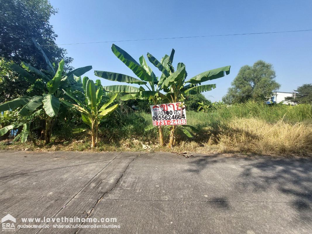 ขายที่ดิน ถนนสุสวาท บึงลาดสวาย คลอง4 ธัญบุรี-ลำลูกกา ปทุมธานี พื้นที่ 100 ตรว. ราคาถูกมาก เหมาะทำที่พักอาศัย หน้ากว้าง 15 x 27 ม. แปลงสี่เหลี่ยมสวย น้ำ,ประปาพร้อมมาก