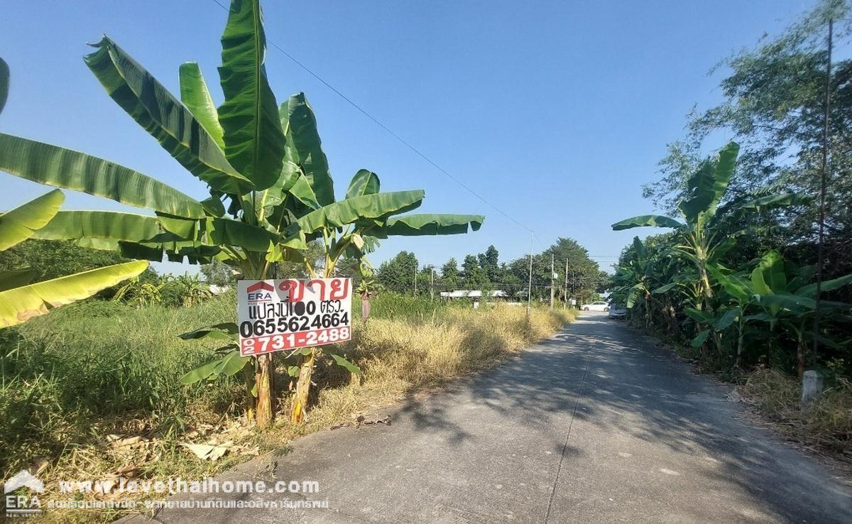 ขายที่ดิน ถนนสุสวาท บึงลาดสวาย คลอง4 ธัญบุรี-ลำลูกกา ปทุมธานี พื้นที่ 100 ตรว. ราคาถูกมาก เหมาะทำที่พักอาศัย หน้ากว้าง 15 x 27 ม. แปลงสี่เหลี่ยมสวย น้ำ,ประปาพร้อมมาก