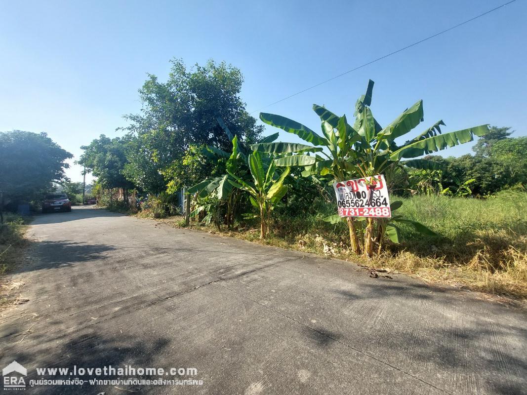 ขายที่ดิน ถนนสุสวาท บึงลาดสวาย คลอง4 ธัญบุรี-ลำลูกกา ปทุมธานี พื้นที่ 100 ตรว. ราคาถูกมาก เหมาะทำที่พักอาศัย หน้ากว้าง 15 x 27 ม. แปลงสี่เหลี่ยมสวย น้ำ,ประปาพร้อมมาก