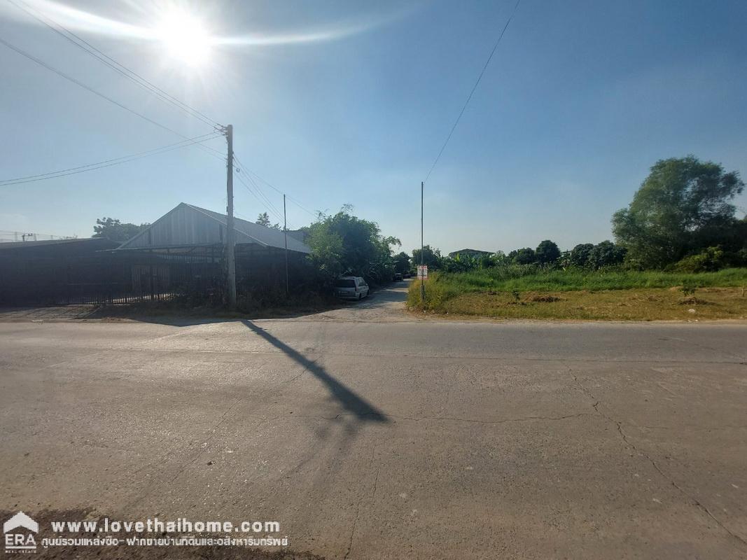 ขายที่ดิน ถนนสุสวาท บึงลาดสวาย คลอง4 ธัญบุรี-ลำลูกกา ปทุมธานี พื้นที่ 100 ตรว. ราคาถูกมาก เหมาะทำที่พักอาศัย หน้ากว้าง 15 x 27 ม. แปลงสี่เหลี่ยมสวย น้ำ,ประปาพร้อมมาก