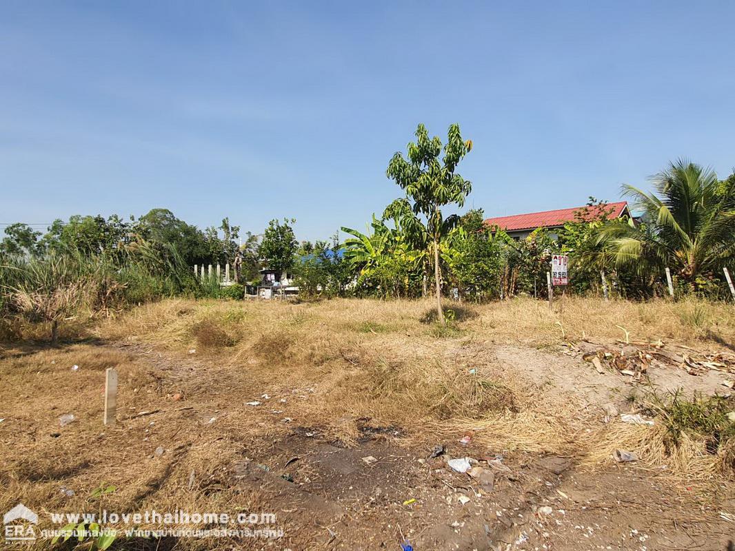 ขายที่ดิน หมู่บ้านเจริญทรัพย์ บางใหญ่ ถ.คลองถนน นนทบุรี พื้นที่ 90 ตรว. เหมาะปลูกบ้าน