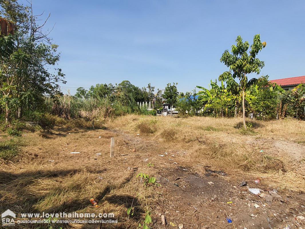 ขายที่ดิน หมู่บ้านเจริญทรัพย์ บางใหญ่ ถ.คลองถนน นนทบุรี พื้นที่ 90 ตรว. เหมาะปลูกบ้าน