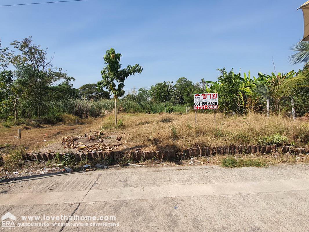 ขายที่ดิน หมู่บ้านเจริญทรัพย์ บางใหญ่ ถ.คลองถนน นนทบุรี พื้นที่ 90 ตรว. เหมาะปลูกบ้าน