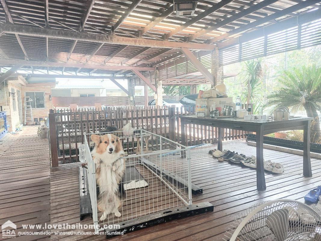 ขายบ้านเดี่ยว บ้านสวนร่มเกล้า สุวรรณภูมิ พื้นที่ 154 ตรว. พื้นที่ใหญ่ สามารถสร้างบ้านได้อีกหลัง แถมบ่อปลาคราฟ ใกล้สนามบินสุวรรณภูมิ ใกล้รถไฟรถไฟฟ้าสายสีชมพู สถานีมีนบุรี,สายสีส้ม สถานีมีนบุรี (ในอนาคต)