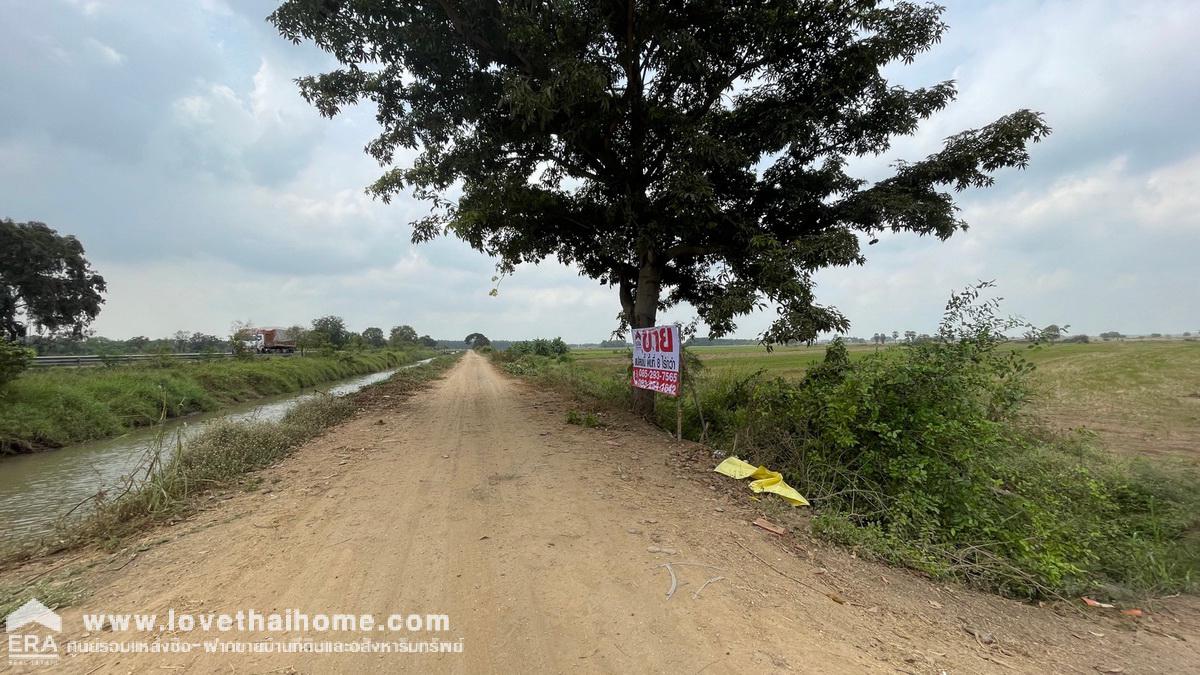 ขายที่ดิน ติดถนนนครหลวง-ท่าเรือ พื้นที่ 8 ไร่กว่า ต.แม่ลา อ.นครหลวง จ.อยุธยา พื้นที่สีเขียวลาย หน้ากว้างติดถนน 110 เมตร ใกล้อบต.แม่ลา