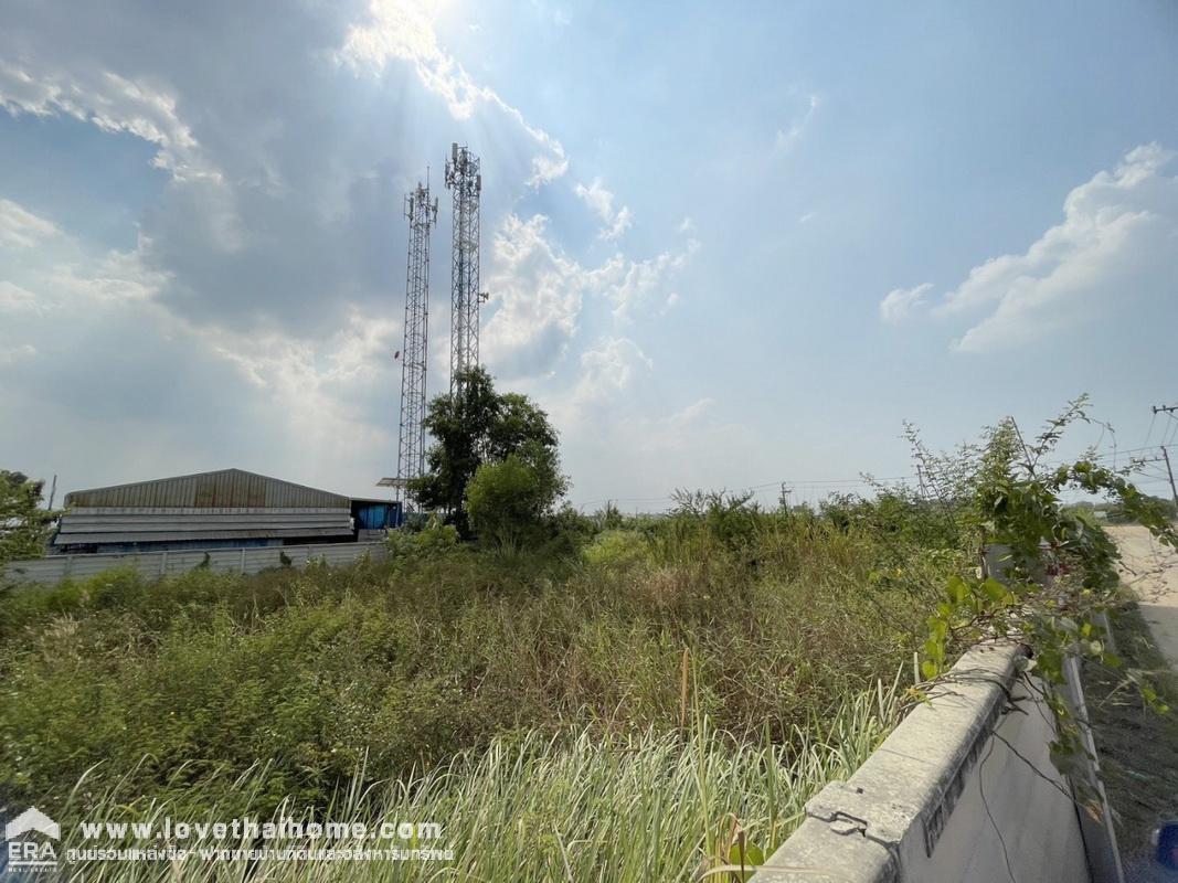 ขายที่ดิน ถ.คลองห้าตะวันตก คลองหลวง ปทุมธานี พื้นที่ 395 ตรว. ที่ดินถมและล้อมรั้วแล้ว ทำเลดี ถนนหน้าที่ดินกว้าง ใกล้มหาวิทยาลัยเทคโนโลยีราชมงคลธัญบุรี