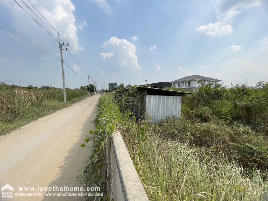 ขายที่ดิน ถ.คลองห้าตะวันตก คลองหลวง ปทุมธานี พื้นที่ 395 ตรว. ที่ดินถมและล้อมรั้วแล้ว ทำเลดี ถนนหน้าที่ดินกว้าง ใกล้มหาวิทยาลัยเทคโนโลยีราชมงคลธัญบุรี