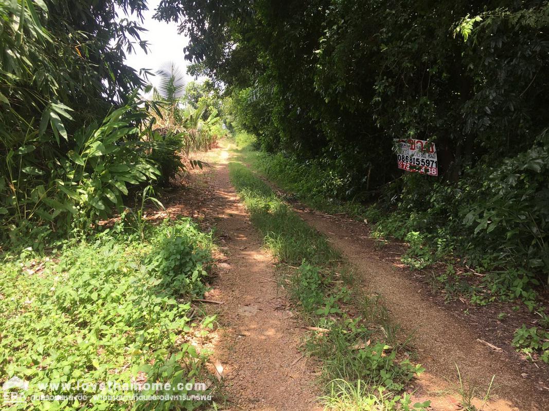 ขายที่ดินราคาถูก ซ.คลองหกตะวันออก คลองหลวง ปทุมธานี พื้นที่406ตรว. ใกล้องค์การบริหารส่วนตำบล คลอง6