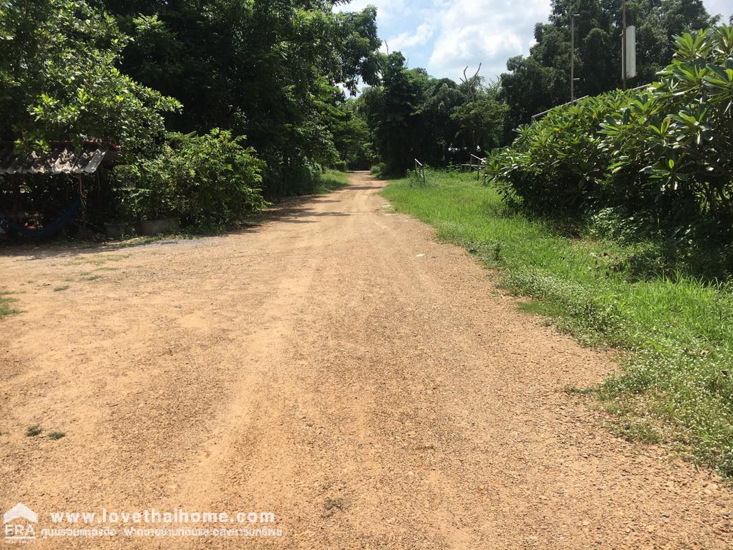 ขายที่ดินราคาถูก ซ.คลองหกตะวันออก คลองหลวง ปทุมธานี พื้นที่406ตรว. ใกล้องค์การบริหารส่วนตำบล คลอง6