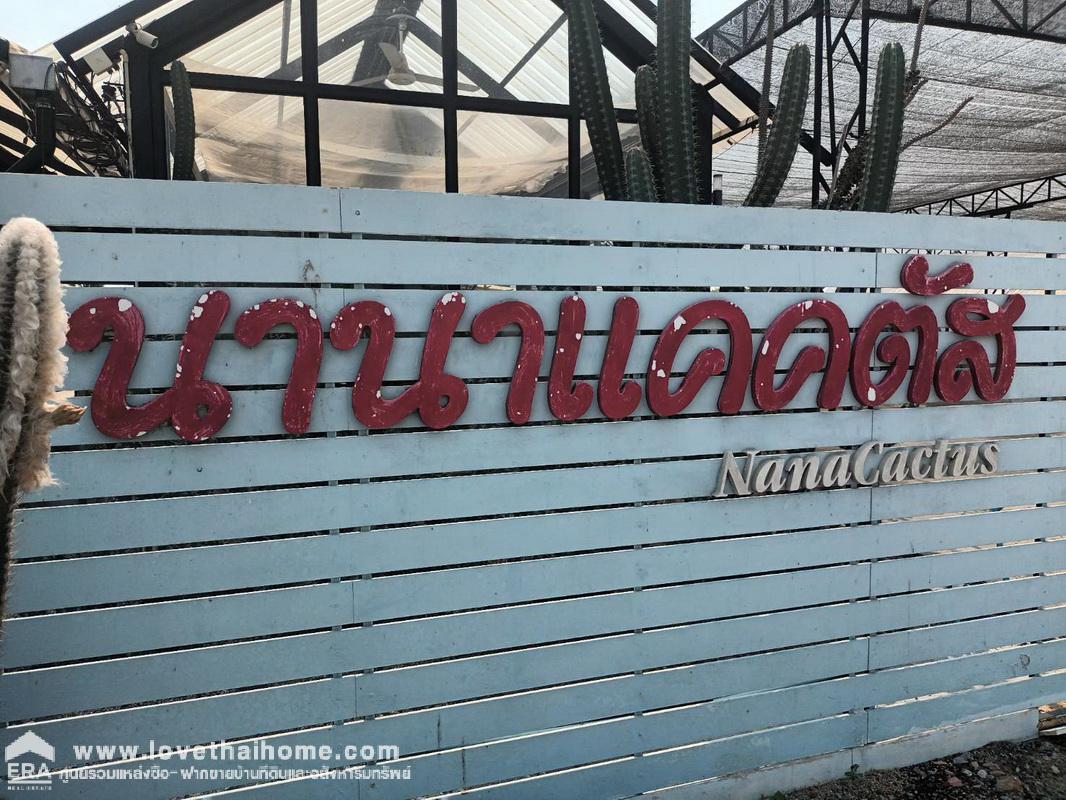 ขายที่ดินดอนตูม บางเลน นครปฐม บ้านไผ่งาม ตรงข้ามนานาแคคตัส พื้นที่ 21-3-8 ไร่ ราคาถูกจองด่วน ไม่ไกลจากกรุงเทพฯ ใกล้แหล่งท่องเที่ยวบางเลน นครปฐม 