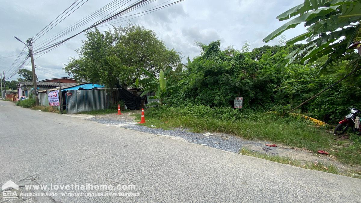 ขายที่ดิน ซอยเทพกุญชร20 คลอง1 คลองหลวง พื้นที่ 1 ไร่ แปลงสี่เหลี่ยม ใกล้ตลาดไท