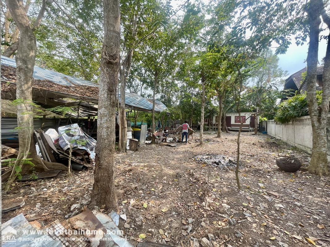ขายที่ดิน ซ.หนองจอก 4 ต.บ้านปทุม อ.สามโคก ปทุมธานี พื้นที่ 110 ตรว. พร้อมสิ่งปลูกสร้าง หน้ากว้าง 12.5 ม. ลึก 30 ม.