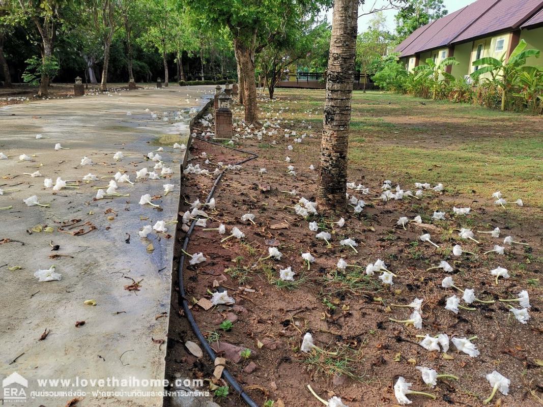 ขายที่ดิน ติดคลองแม่กลอง อำเภอเมือง จังหวัดสมุทรสงคราม ที่ดินสวยทำเลทอง เนื้อที่ 814 ตร.ว. หน้ากว้าง 34 เมตร ลึก 107เมตร หันหน้าไปทางทิศใต้ ขายเพียง 25 ล้านบาท (แถมห้องพักติดคลอง 1 หลัง)