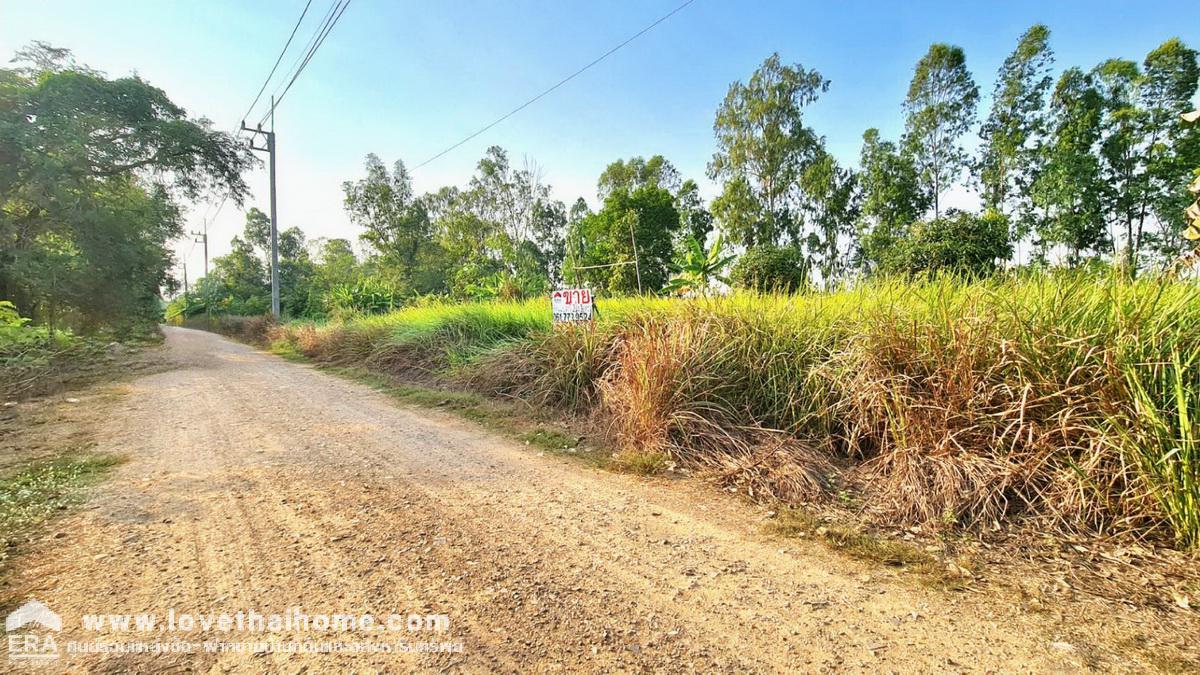 ขายที่ดินลำลูกกา คลอง 10 ในสวนเกษตรทองหลางแลนด์ (แปลงที่ 9) พื้นที่ 2-0-16 ไร่ หน้ากว้าง ถมแล้ว ห่างจากถนนลำลูกกา เพียง 3 กม.