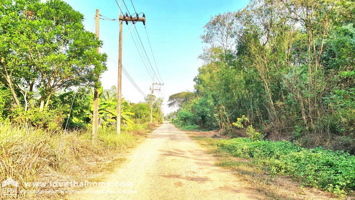 ขายที่ดินลำลูกกา คลอง 10 ในสวนเกษตรทองหลางแลนด์ (แปลงที่ 9) พื้นที่ 2-0-16 ไร่ หน้ากว้าง ถมแล้ว ห่างจากถนนลำลูกกา เพียง 3 กม.