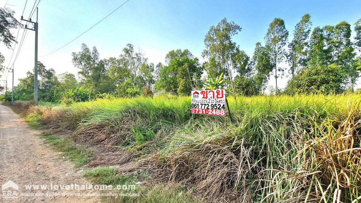 ขายที่ดินลำลูกกา คลอง 10 ในสวนเกษตรทองหลางแลนด์ (แปลงที่ 9) พื้นที่ 2-0-16 ไร่ หน้ากว้าง ถมแล้ว ห่างจากถนนลำลูกกา เพียง 3 กม.