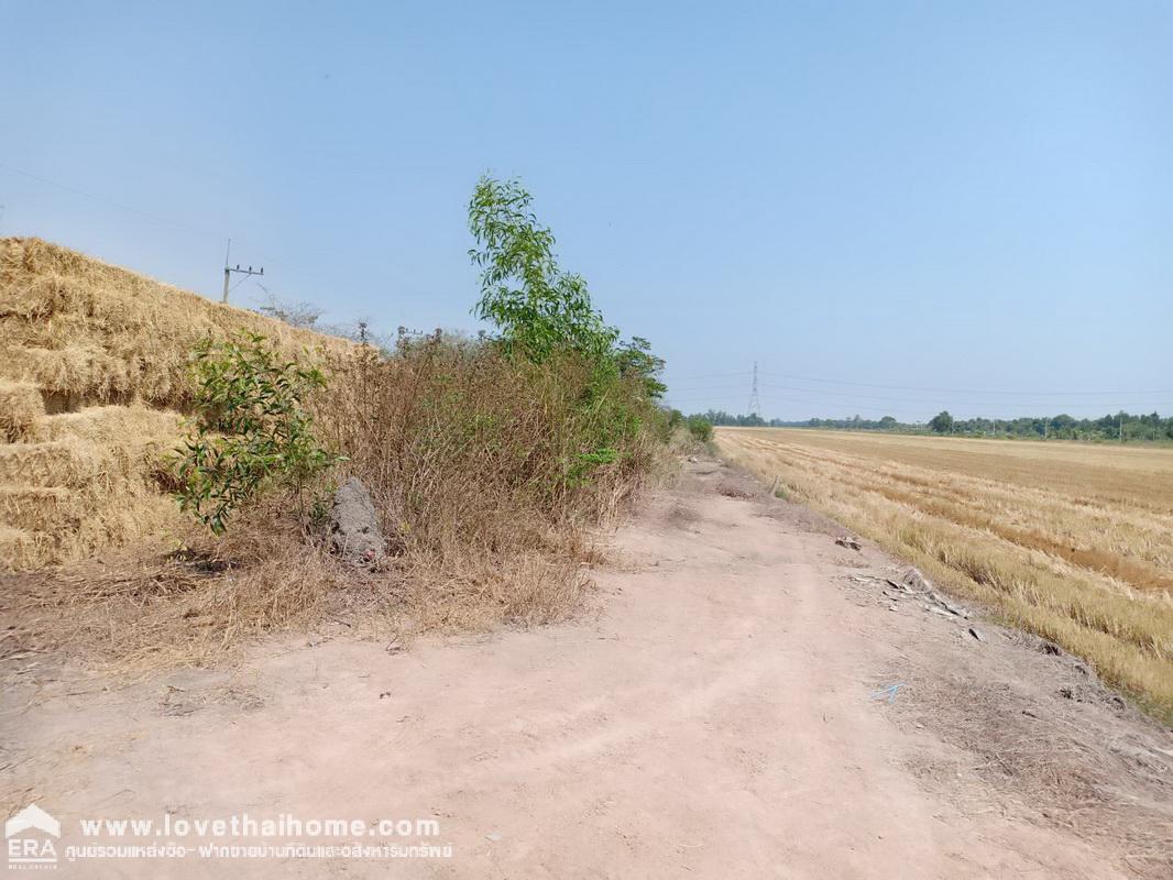 ขายที่ดินติดถนนใหญ่เลียบคลอง 12 หนองเสือ ปทุมธานี พื้นที่ 60 ไร่ แปลงงามผืนสวย เหมาะทำโครงการต่างๆ หรือเก็งกำไรเป็นเจ้าของได้เลย