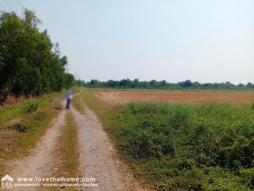 ขายที่ดินติดถนนใหญ่เลียบคลอง 12 หนองเสือ ปทุมธานี พื้นที่ 60 ไร่ แปลงงามผืนสวย เหมาะทำโครงการต่างๆ หรือเก็งกำไรเป็นเจ้าของได้เลย