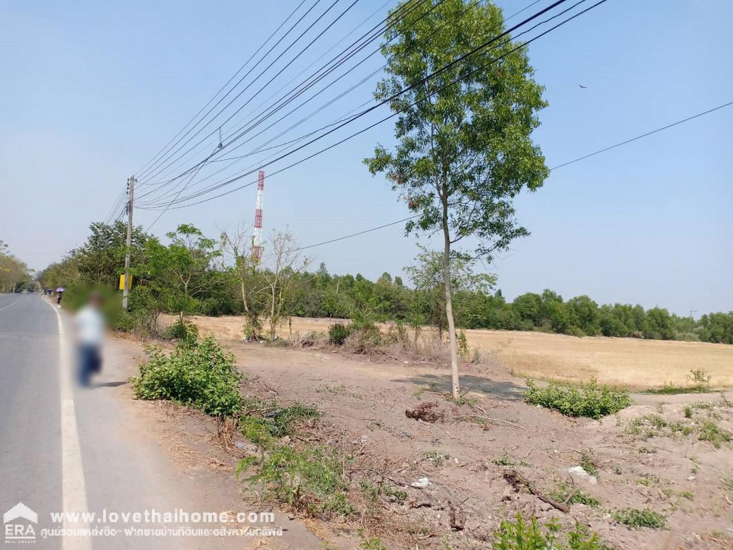 ขายที่ดินติดถนนใหญ่เลียบคลอง 12 หนองเสือ ปทุมธานี พื้นที่ 60 ไร่ แปลงงามผืนสวย เหมาะทำโครงการต่างๆ หรือเก็งกำไรเป็นเจ้าของได้เลย