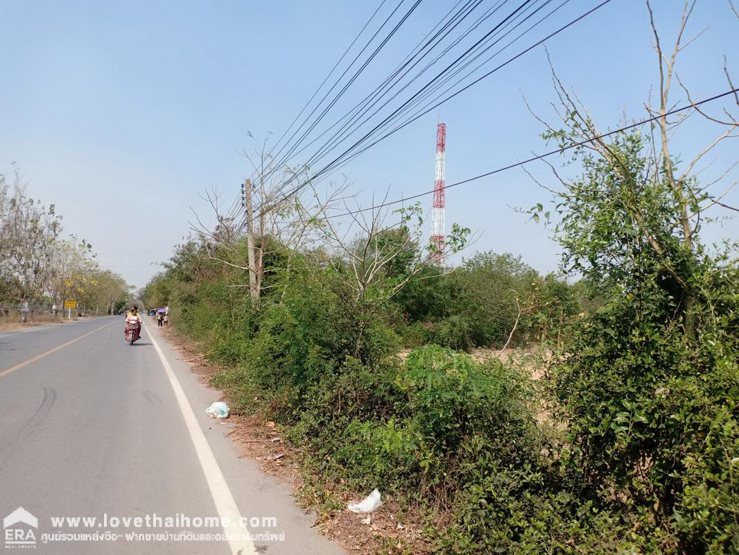 ขายที่ดินติดถนนใหญ่เลียบคลอง 12 หนองเสือ ปทุมธานี พื้นที่ 60 ไร่ แปลงงามผืนสวย เหมาะทำโครงการต่างๆ หรือเก็งกำไรเป็นเจ้าของได้เลย