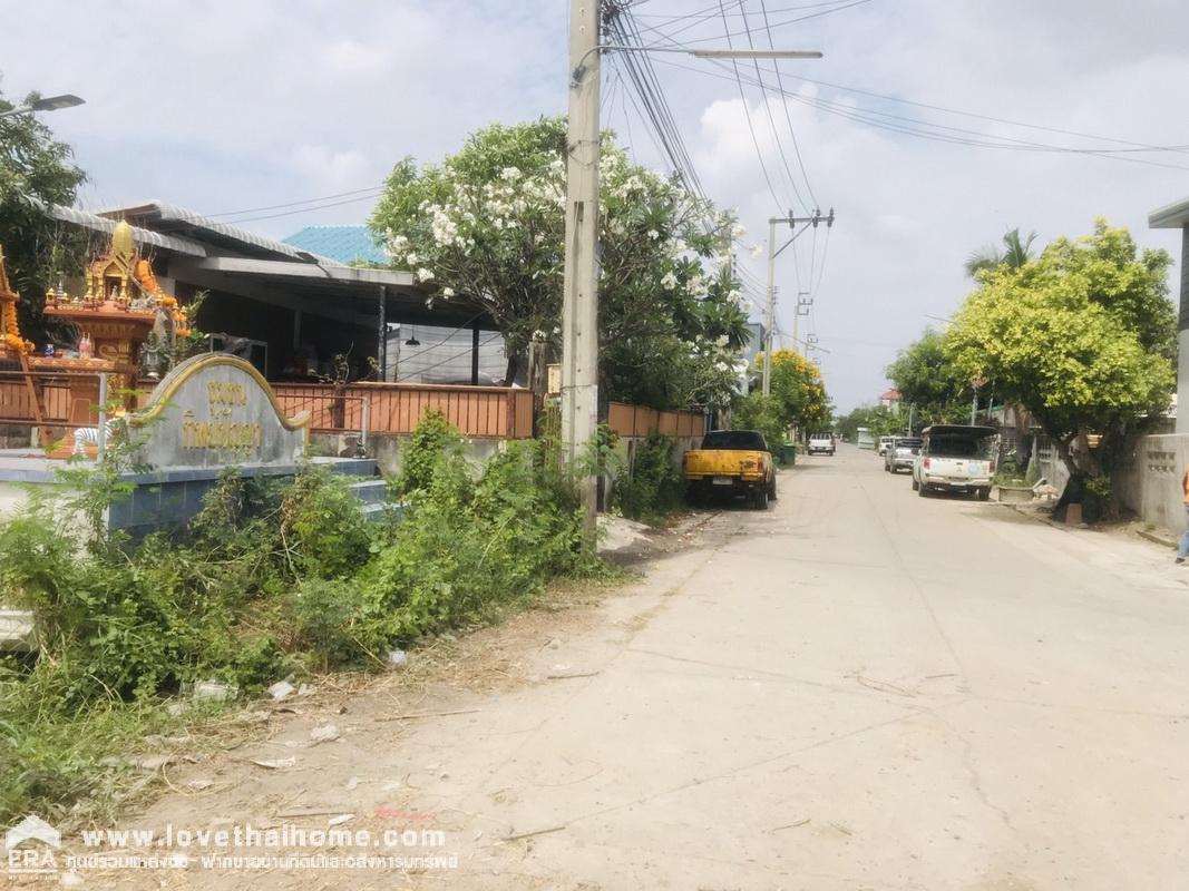 ขายที่ดินถมแล้ว ซ.วัดลาดปลาดุก บางใหญ่ นนทบุรี (ชุมชนทิพย์ปัญญา)  พื้นที่ 57 ตรว. ที่ดินถมสูงกว่าถนน สามารถปลูกสร้างได้เลย