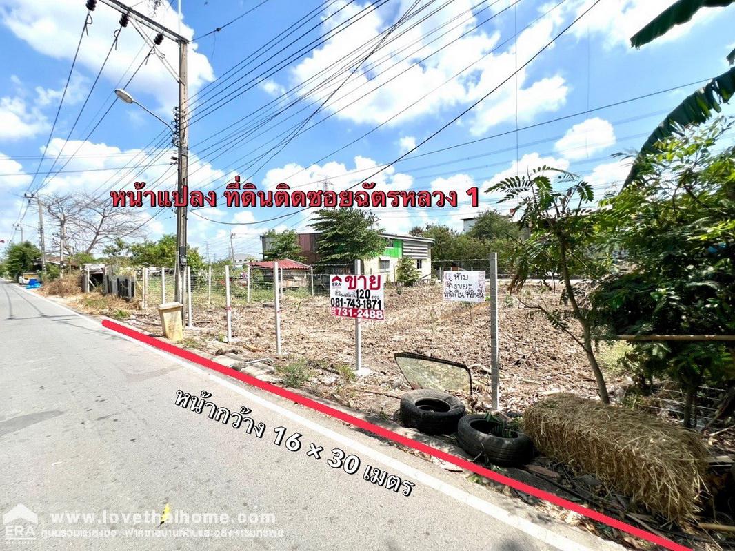 ขายที่ดินเปล่า ไทรน้อย พื้นที่ 120 ตรว. ซอยฉัตรหลวง1,2 เยื้องการไฟฟ้าย่อยไทรน้อย ใกล้ Global House ขาย ตรว.ละ 15,000 บาท ตามราคาประเมิน ถูกที่สุด