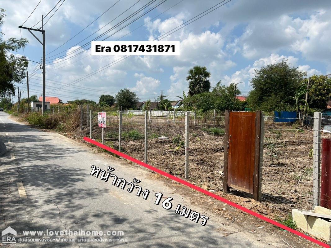 ขายที่ดินเปล่า ไทรน้อย พื้นที่ 120 ตรว. ซอยฉัตรหลวง1,2 เยื้องการไฟฟ้าย่อยไทรน้อย ใกล้ Global House ขาย 1.55 ล้านบาท ตามราคาประเมิน ถูกที่สุด