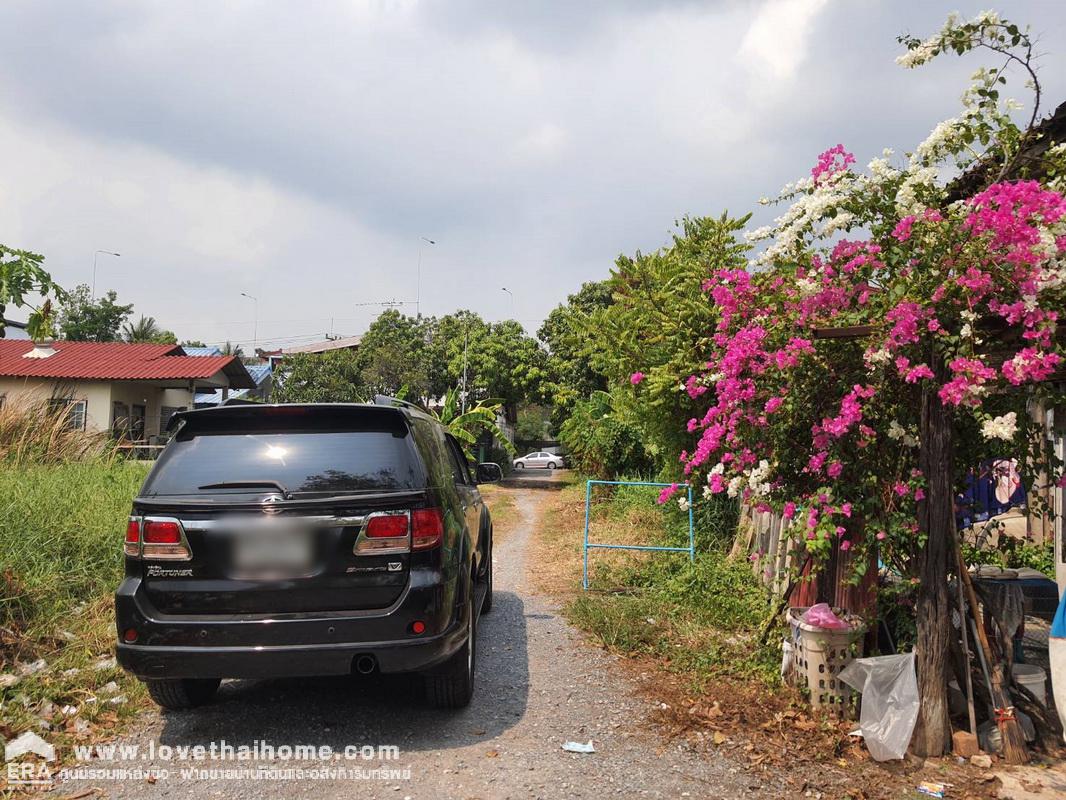 ขายที่ดิน ซ.ร่วมสขุ 9 แยก 4 ต.บ้านใหม่ ปทุมธานี พื้นที่ 200 ตรว. ใกล้แยกสวนสมเด็จ ทางด่วนศรีรัชศรีสมาน เหมาะปลูกสร้างบ้าน หรือทำกำไรในอนาคต