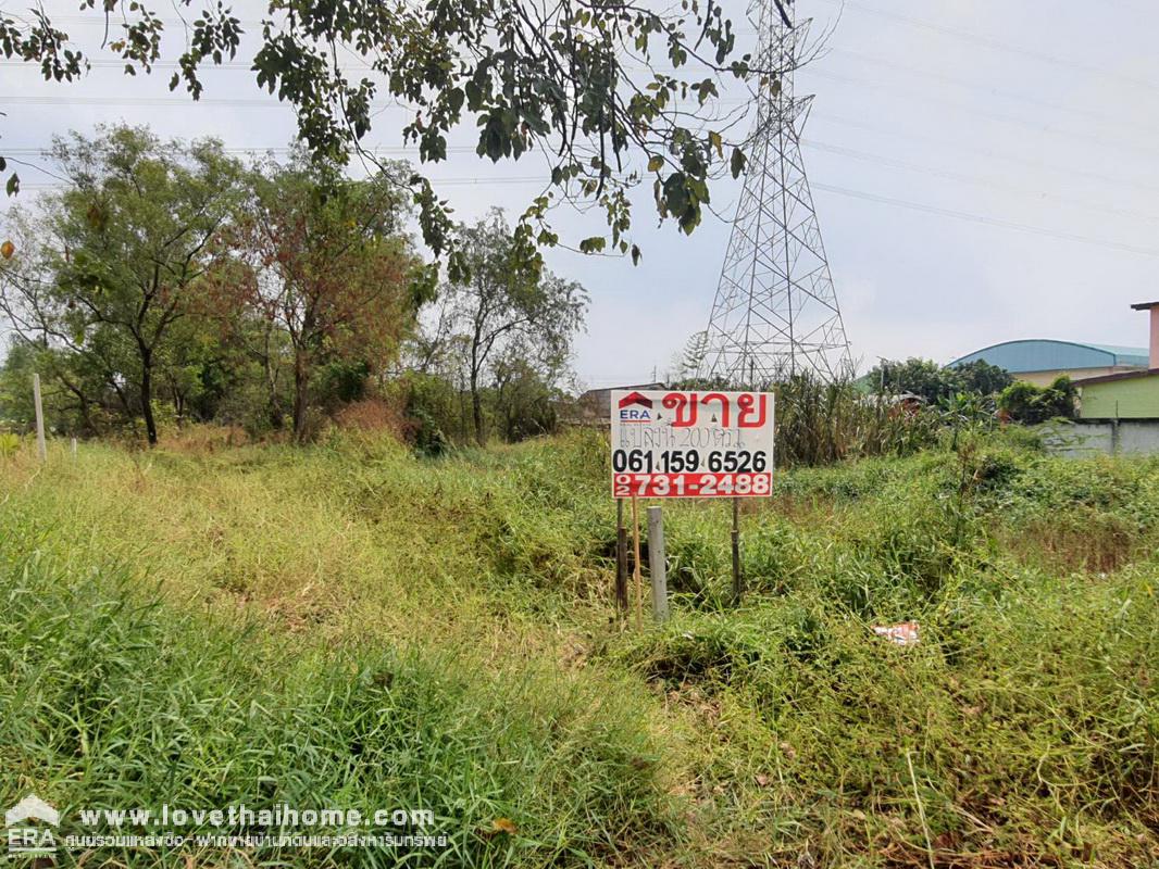 ขายที่ดิน ซ.ร่วมสขุ 9 แยก 4 ต.บ้านใหม่ ปทุมธานี พื้นที่ 200 ตรว. ใกล้แยกสวนสมเด็จ ทางด่วนศรีรัชศรีสมาน เหมาะปลูกสร้างบ้าน หรือทำกำไรในอนาคต