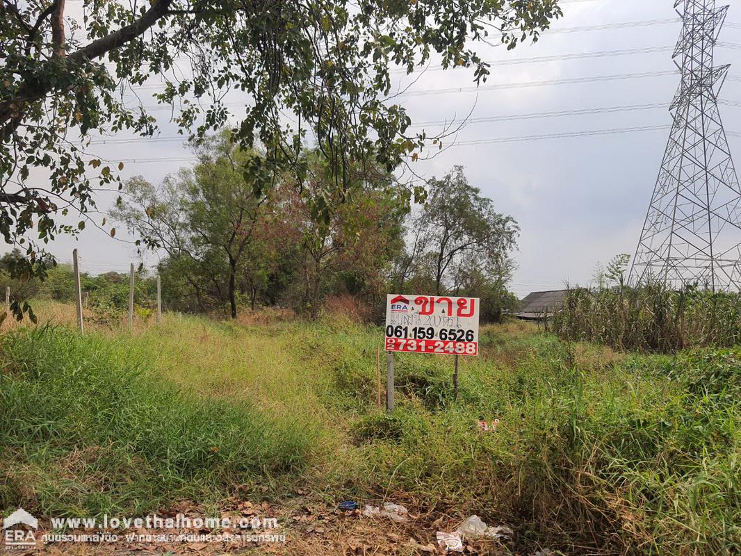 ขายที่ดิน ซ.ร่วมสขุ 9 แยก 4 ต.บ้านใหม่ ปทุมธานี พื้นที่ 200 ตรว. ใกล้แยกสวนสมเด็จ ทางด่วนศรีรัชศรีสมาน เหมาะปลูกสร้างบ้าน หรือทำกำไรในอนาคต