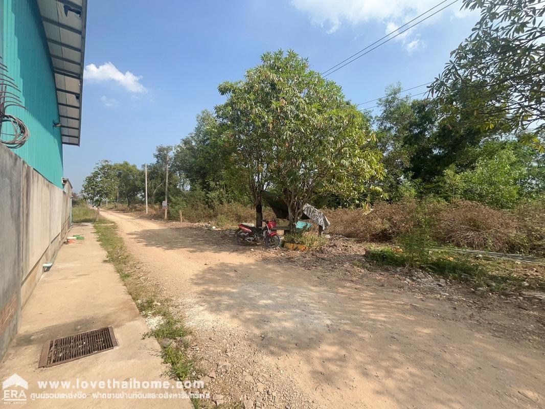 ขายที่ดิน ถมแล้ว คลองหลวง คลอง5 ถนนธัญบุรี ปทุมธานี พื้นที่ 84 ตรว. ที่สวย เหมาะสร้างบ้าน ใกล้ทางด่วน ราคาถูก