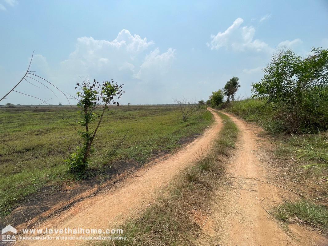 ขายที่ดิน ต.เกาะลอย อ.ประจันตคาม จ.ปราจีนบุรี ใกล้ อบต.เกาะลอย พื้นที่ 39 ไร่ อยู่ใกล้แหล่งน้ำ เหมาะทำเกษตรกรรม หน้ากว้าง 320 ม. ลึก 370 ม.